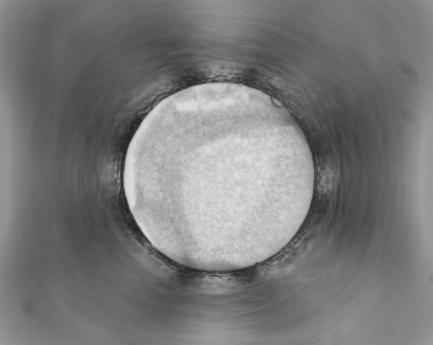 X0000111360666200908211258