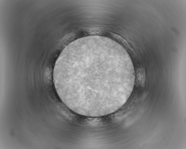 X0000111360667200908211258