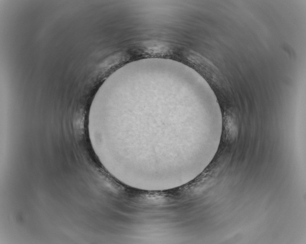 X0000111360668200908211258