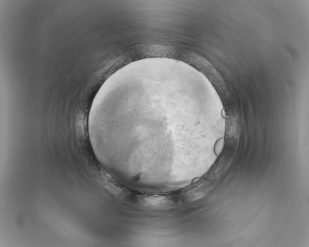 X0000111360669200908211258