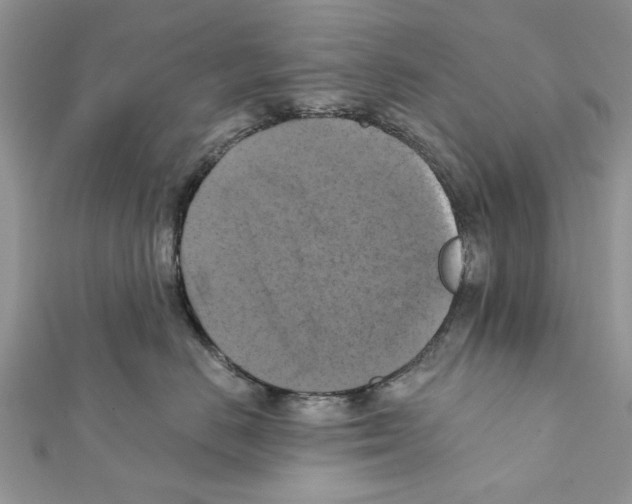 X0000111360670200908211258