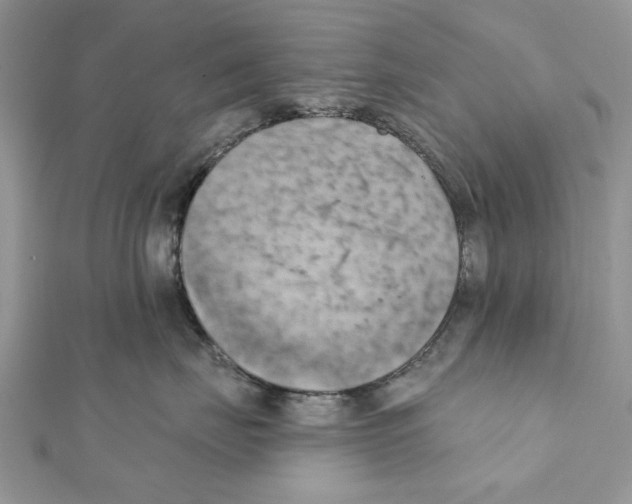 X0000111360671200908211258