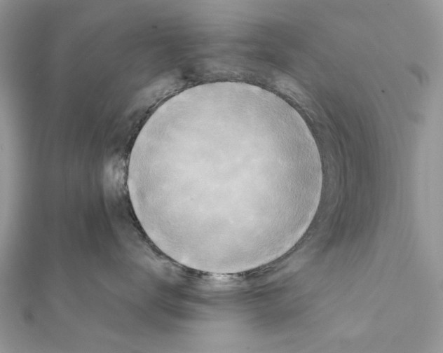 X0000111360672200908211258