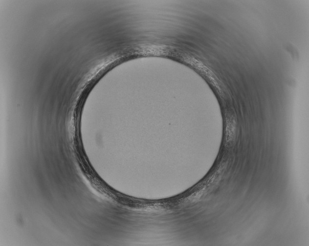 X0000111360674200908211257