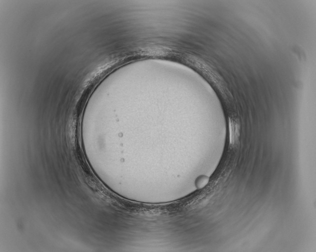 X0000111360675200908211257