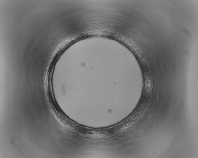 X0000111360678200908211257