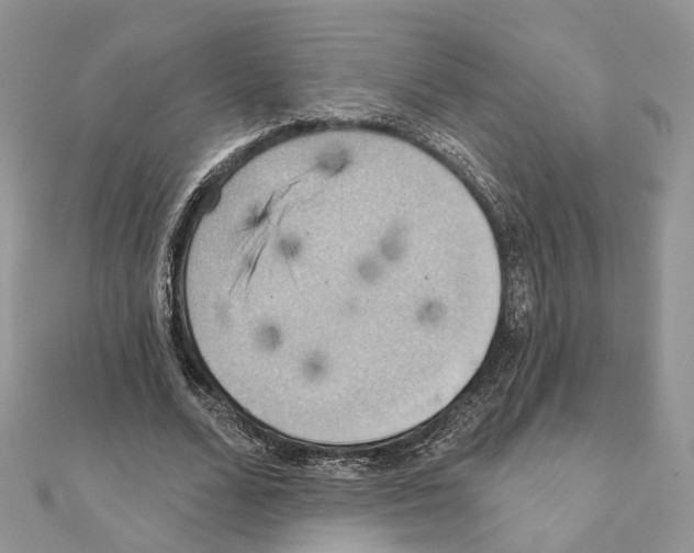 X0000111360680200908211257