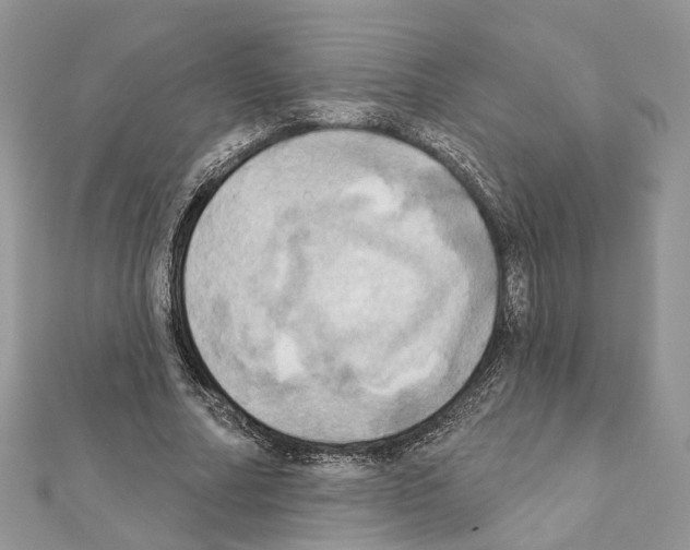 X0000111360682200908211257