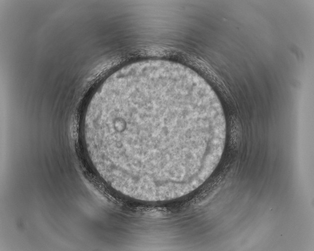 X0000111360683200908211257