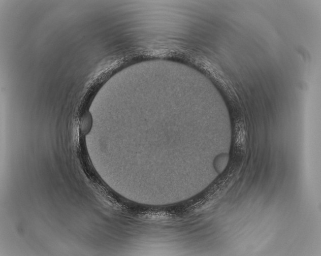 X0000111360685200908211257