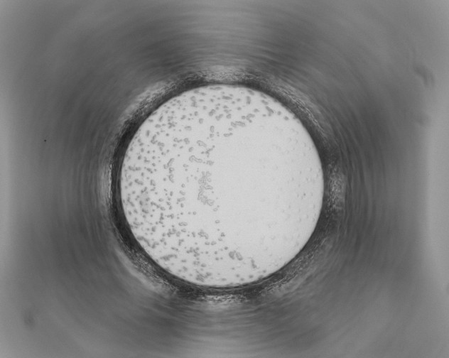 X0000111360686200908211257