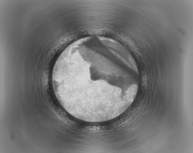 X0000111360687200908211257