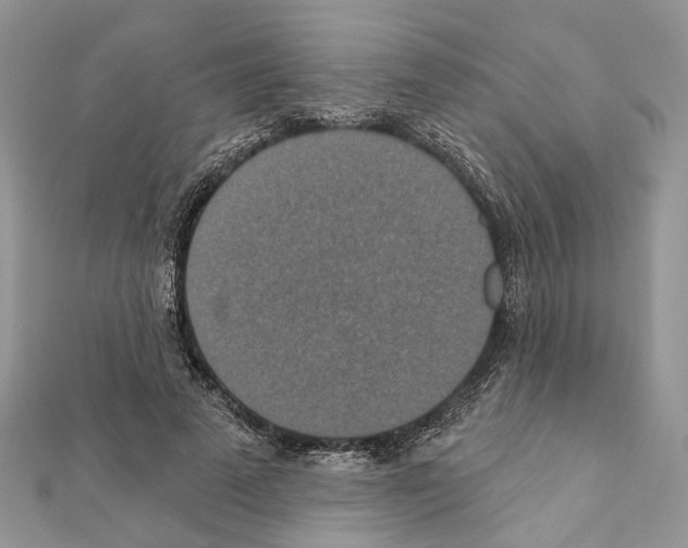 X0000111360689200908211257