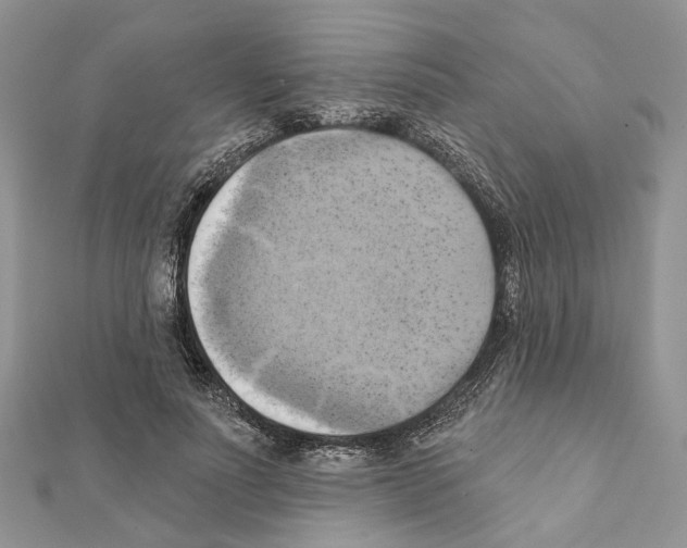 X0000111360691200908211257