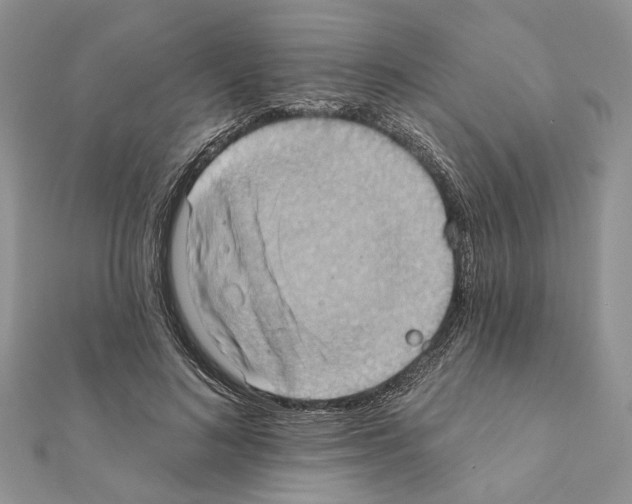 X0000111360692200908211257