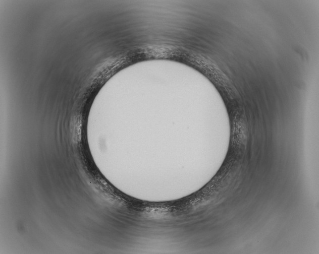 X0000111360694200908211257