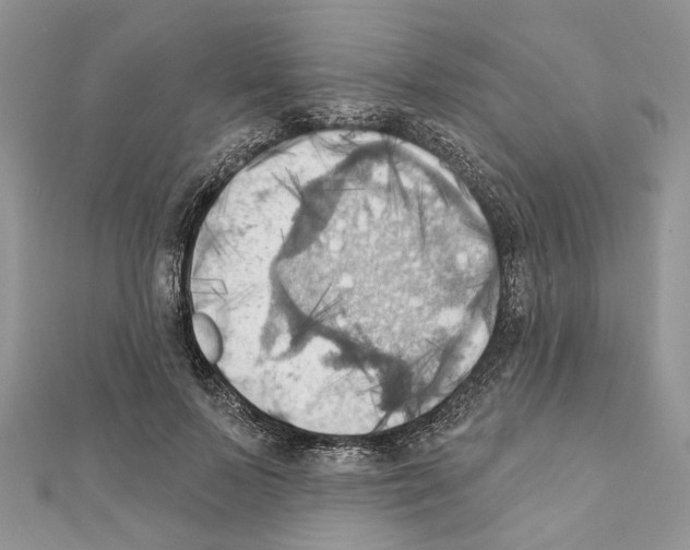 X0000111360695200908211257