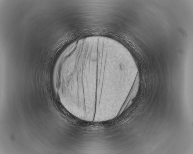 X0000111360696200908211257