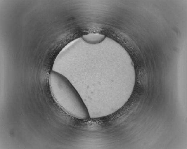 X0000111360697200908211257