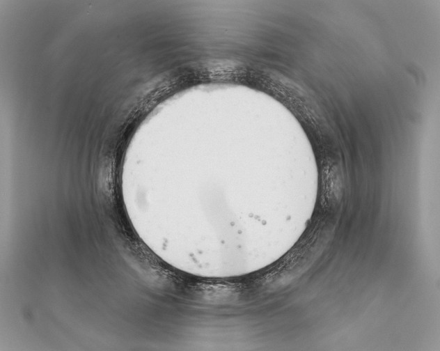 X0000111360698200908211257
