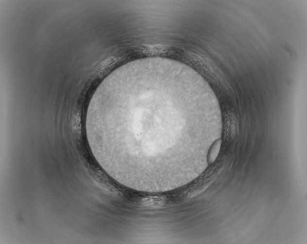 X0000111360700200908211257