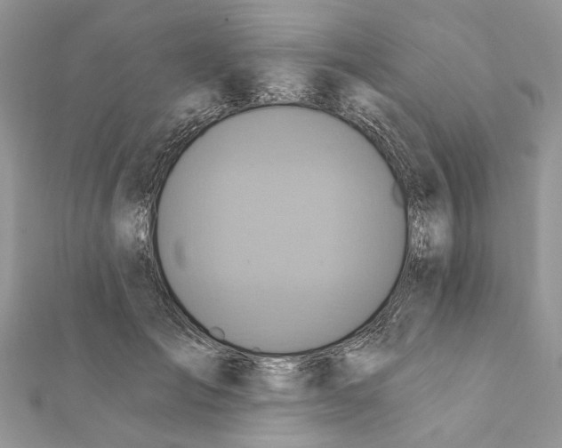 X0000111360701200908211257