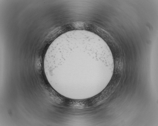 X0000111360702200908211257