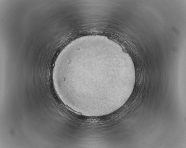 X0000111360704200908211257