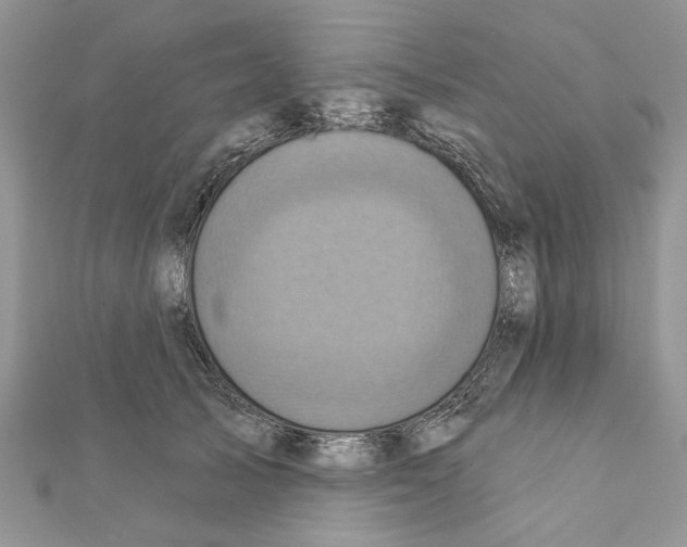 X0000111360705200908211257