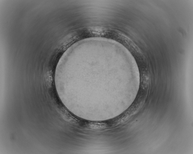 X0000111360707200908211257