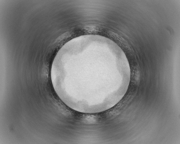 X0000111360710200908211257