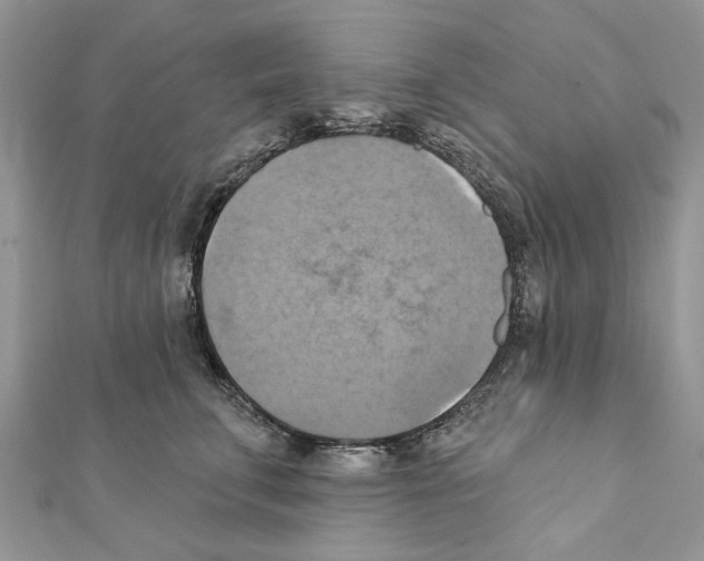 X0000111360711200908211257