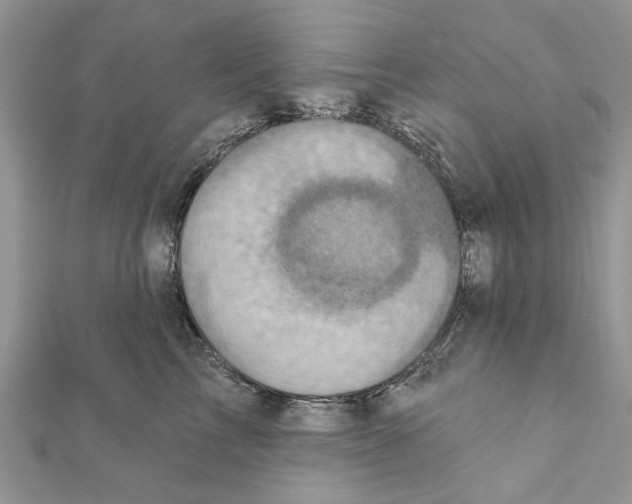 X0000111360713200908211257