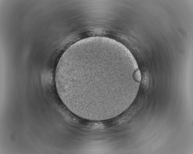 X0000111360715200908211257