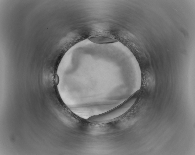 X0000111360716200908211257
