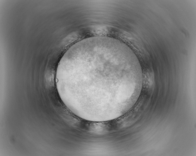 X0000111360717200908211257