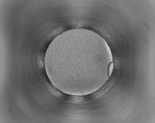 X0000111360719200908211257