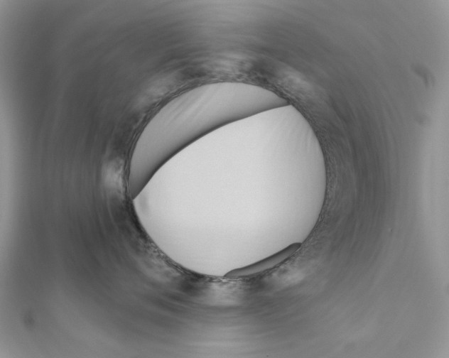 X0000111360720200908211257