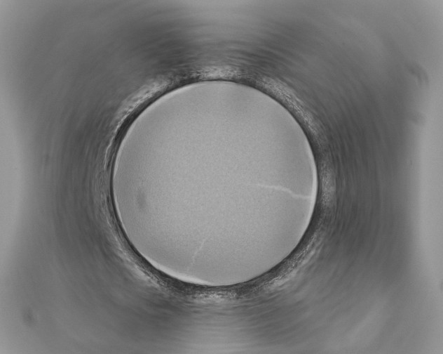 X0000111360721200908211256