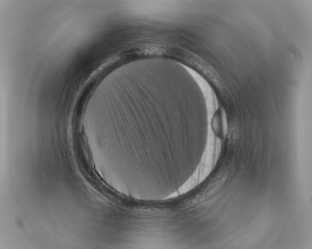 X0000111360722200908211256