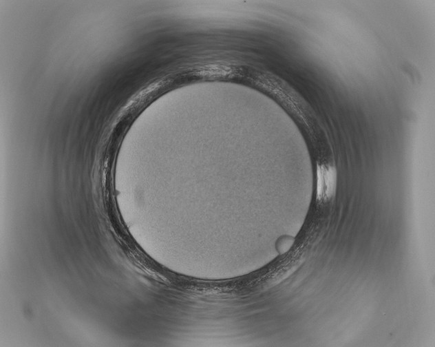 X0000111360723200908211256