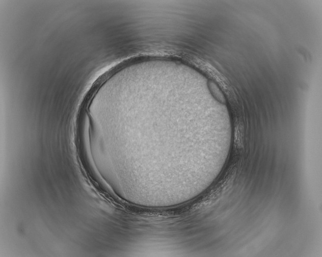 X0000111360724200908211256
