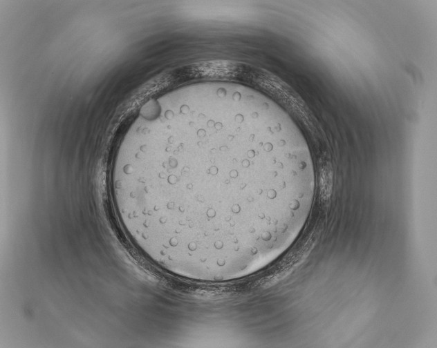 X0000111360725200908211256