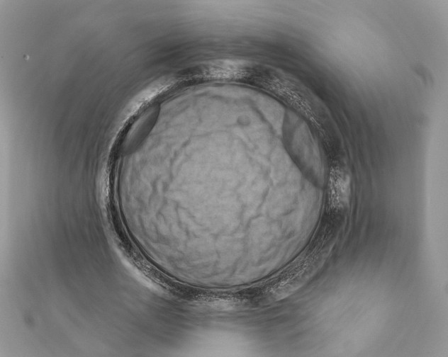 X0000111360726200908211256