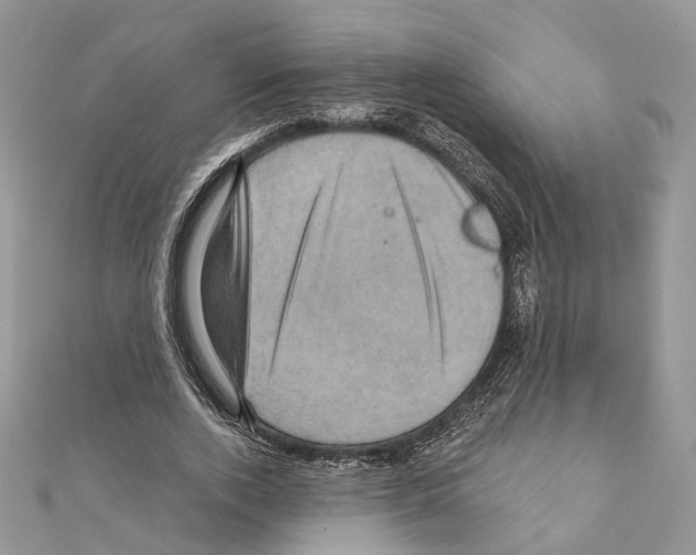 X0000111360728200908211256