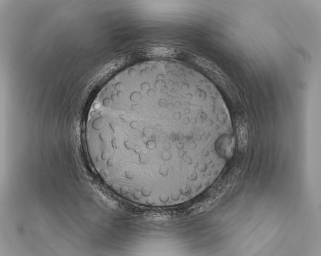 X0000111360729200908211256