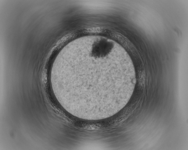 X0000111360731200908211256
