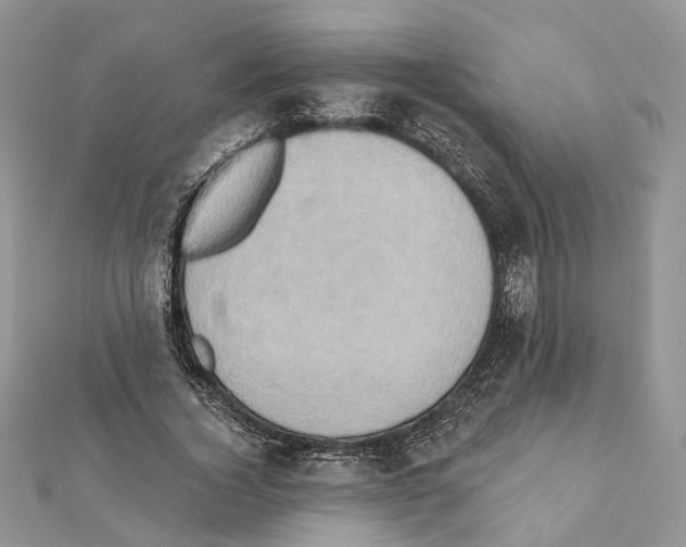 X0000111360732200908211256