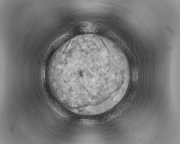 X0000111360733200908211256