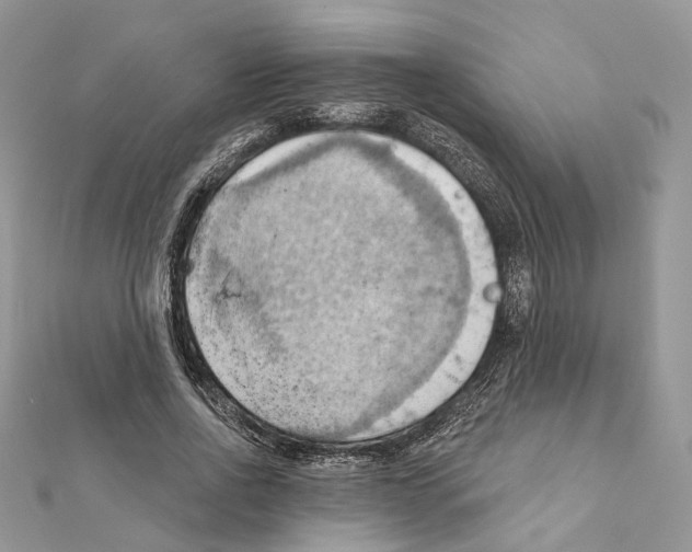 X0000111360734200908211256